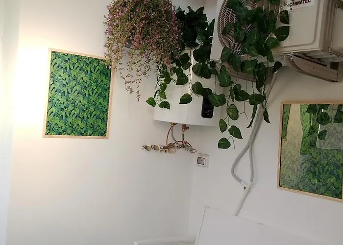 Daire Oasis Downtown Bari